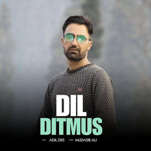 Dil Ditmus