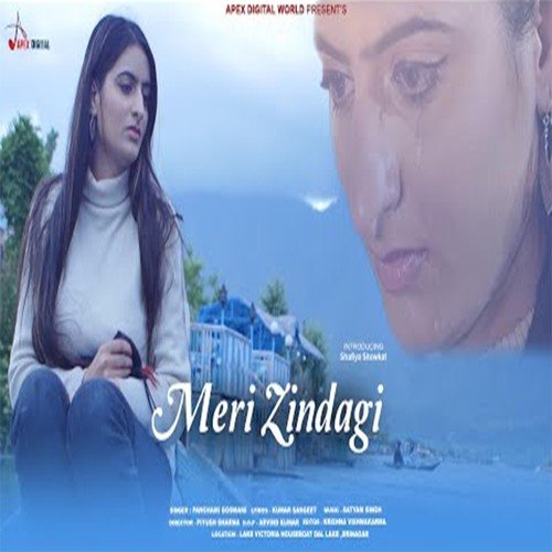 Meri Zindagi Ka Kissa Lyrics - Meri Zindagi Ka Kissa - Only on JioSaavn