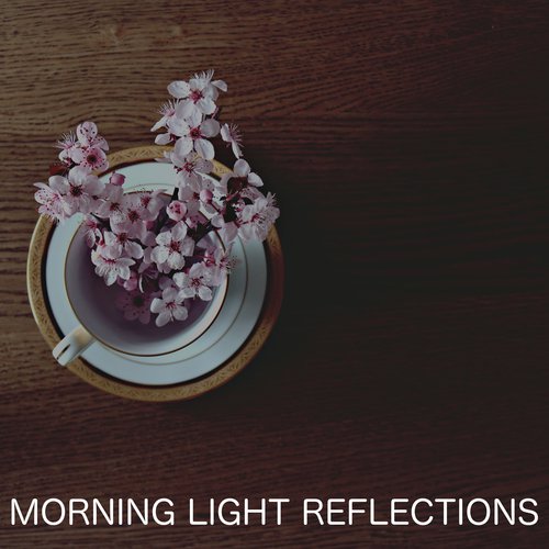 Morning Light Reflections