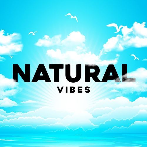NETURAL VIBES