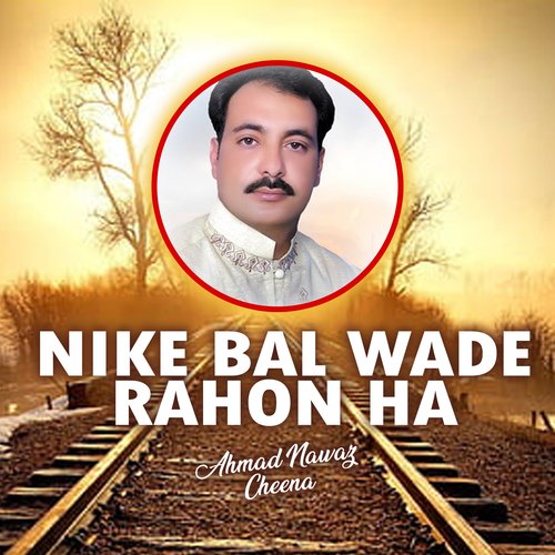 Nike Bal Wade Rahon Ha