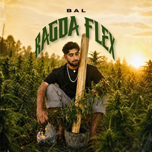 Bhangi Yaar