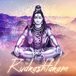 Rudrashtakam