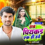 Sab Piykad Ek Hi Hawe