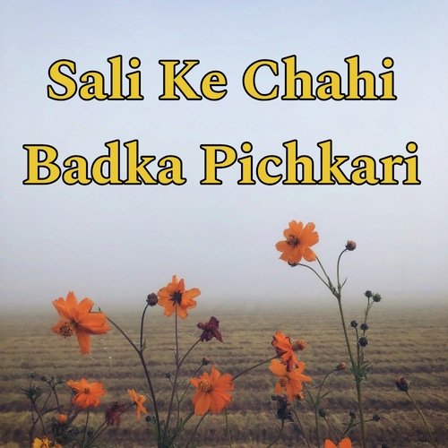 Sali Ke Chahi Badka Pichkari