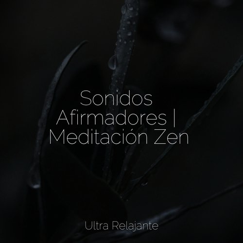 Sonidos Afirmadores | Meditación Zen