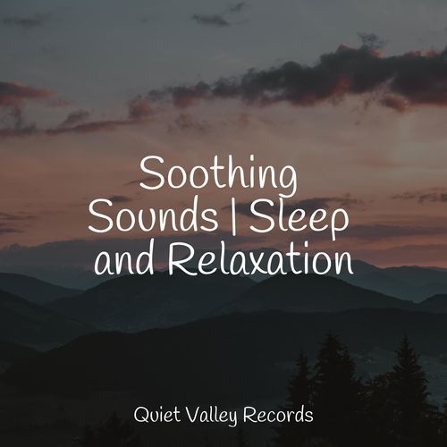 Soothing Sounds | Sleep and Relaxation