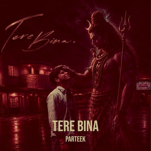 Tere Bina