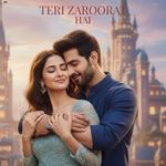 Teri Zaroorat Hai