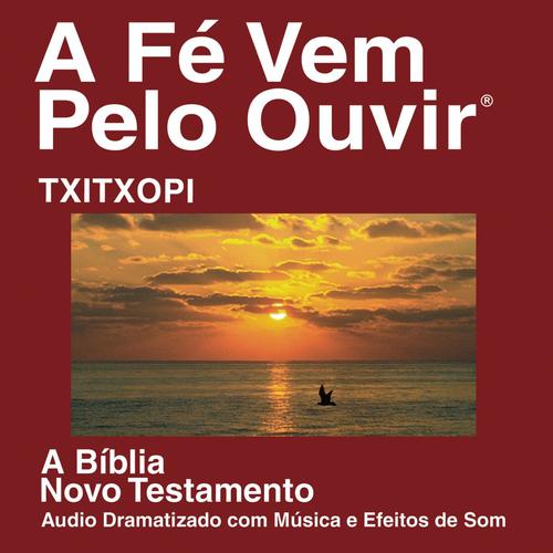 Txitxopi do Novo Testamento (Dramatizada) - Txitxopi Bible