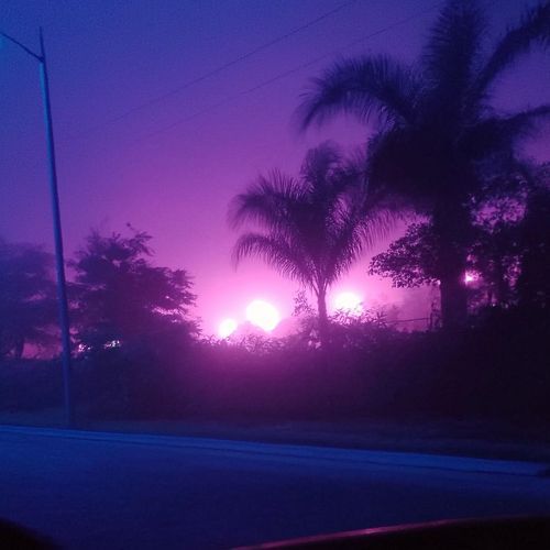 pulse