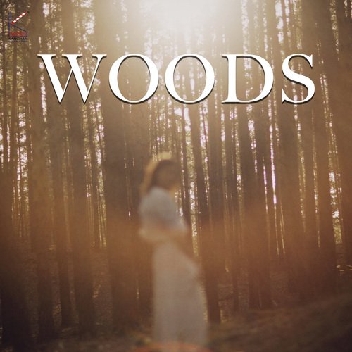 woods_poster_image