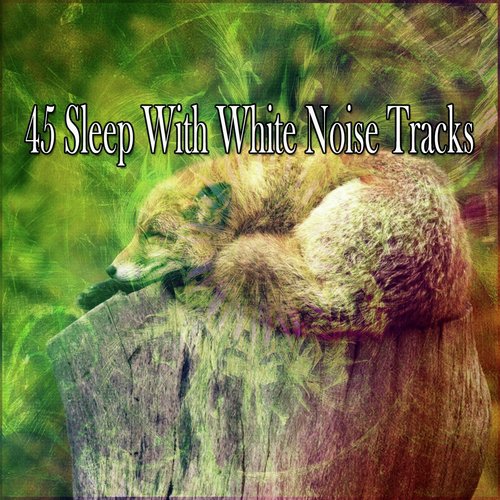 45 Sleep With White Noise Tracks
