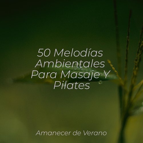 50 Melodías Ambientales Para Masaje Y Pilates