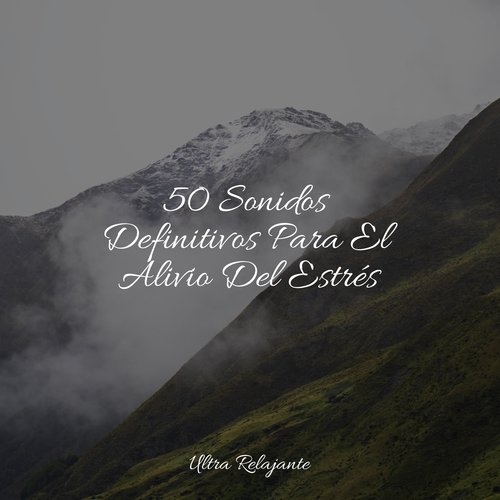 50 Sonidos Definitivos Para El Alivio Del Estrés_poster_image