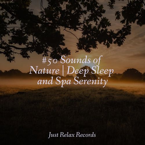 #50 Sounds of Nature | Deep Sleep and Spa Serenity