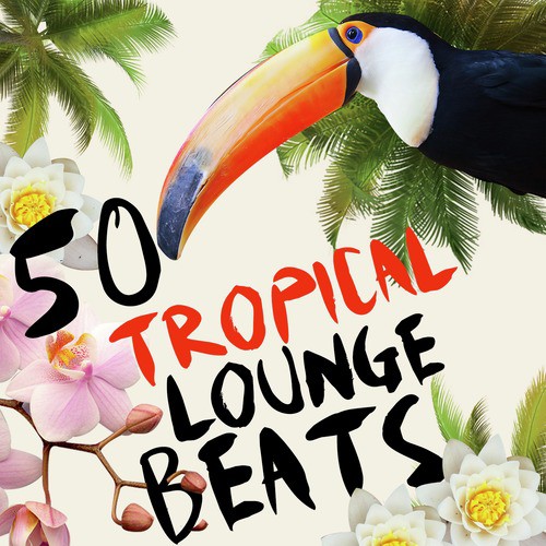 50 Tropical Lounge Beats