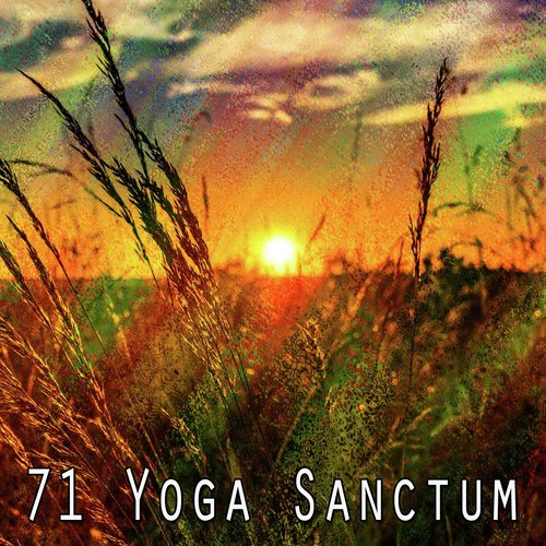 71 Yoga Sanctum