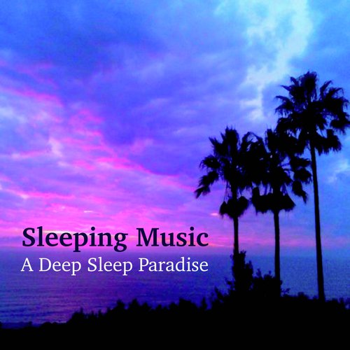 A Deep Sleep Paradise cover art