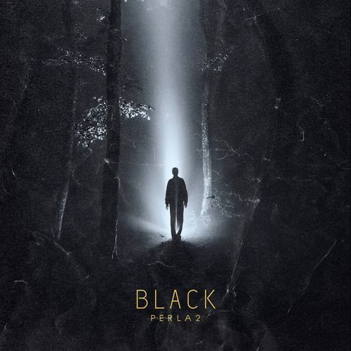Full ship cover art