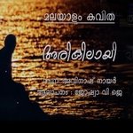 Arikilayi Anayunna Nizhalukalkkullil