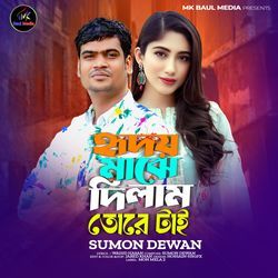 হৃদয় মাঝে দিলাম তরে টাই