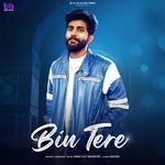 Bin Tere
