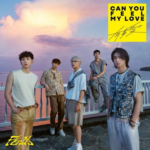 Can You Feel My Love_poster_image