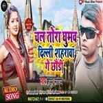 chal tora ghumav dillee shaharava ge chhaudee