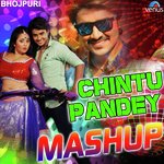 Tere Mann Ka Rang Gulabi Mashup