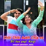 Chlti Chlti Aakh Chla ve Dil kuu pagl Kargi