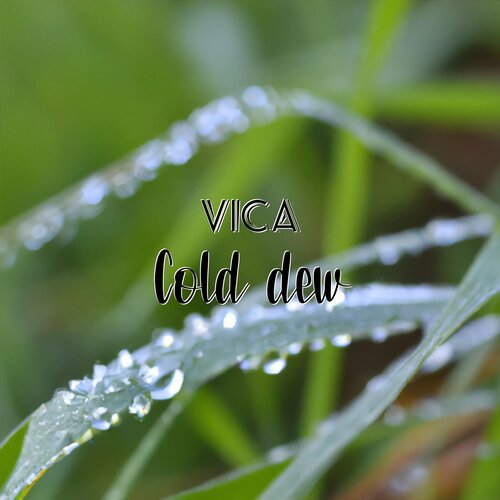 Cold Dew_poster_image