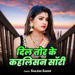 Dil Tor Ke Kahelisan Sorry
