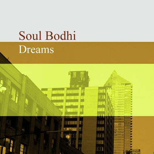 Indians (Trip Hop Mix) cover art