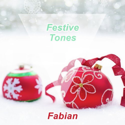 Festive Tones_poster_image