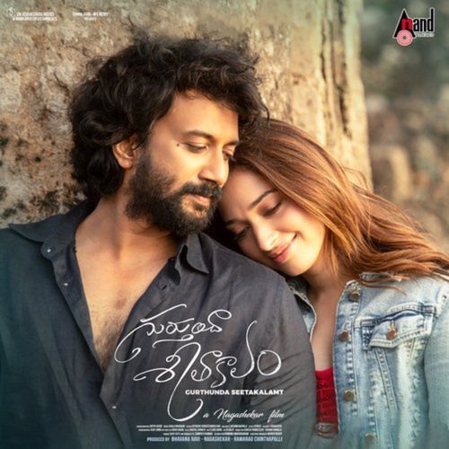Gurtunda Seetakalam (Original Motion Picture Soundtrack)