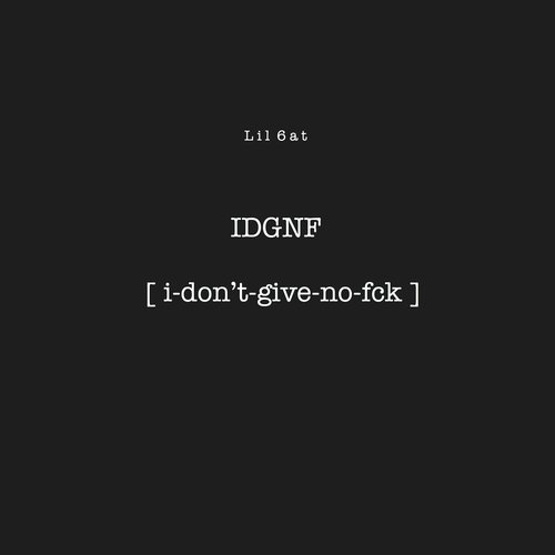 IDGNF cover art