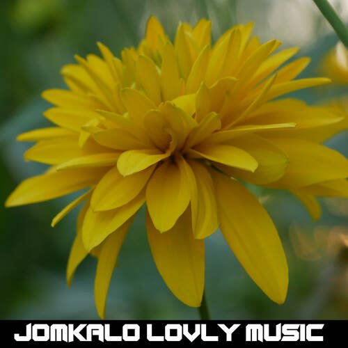 Jomkalo Lovly Music