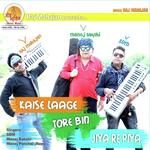 Laage Kaise Tore Bin