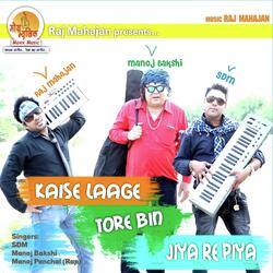 Laage Kaise Tore Bin