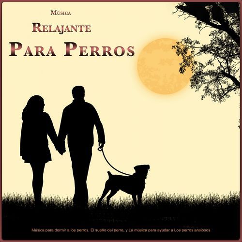Música para dormir a los perros cover art
