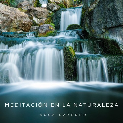 Sonido De La Naturaleza cover art