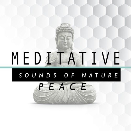 Meditative Sounds of Natural Peace