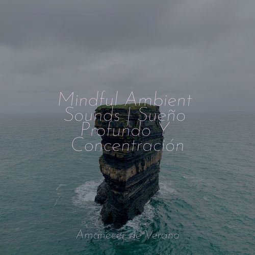 Mindful Ambient Sounds | Sueño Profundo Y Concentración_poster_image