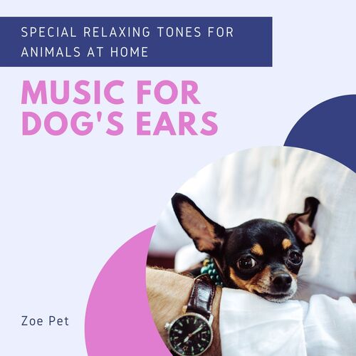 Pet Music to Sleep cover art