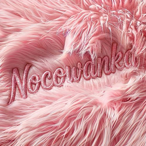 Nocowanka cover art