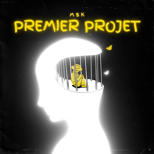 PREMIER PROJET