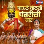 Paule Chalati Pandharichi Vaat artwork
