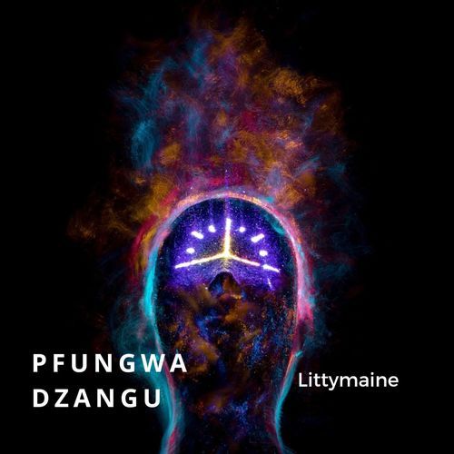 Pfungwa Dzangu