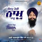 Sansar Rogi Naam Daru